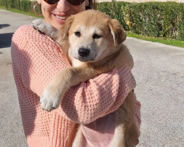 Heidi cerca casa  | Foto 5