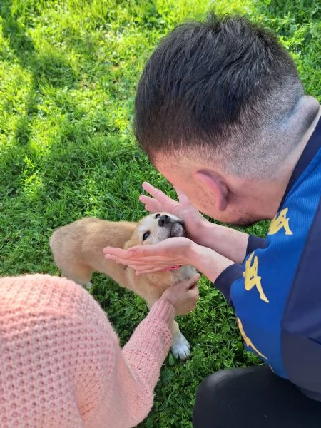 Heidi cerca casa  | Foto 0