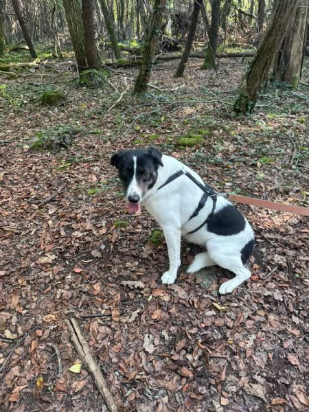 Splendida meticcia - COOKIE | Foto 5