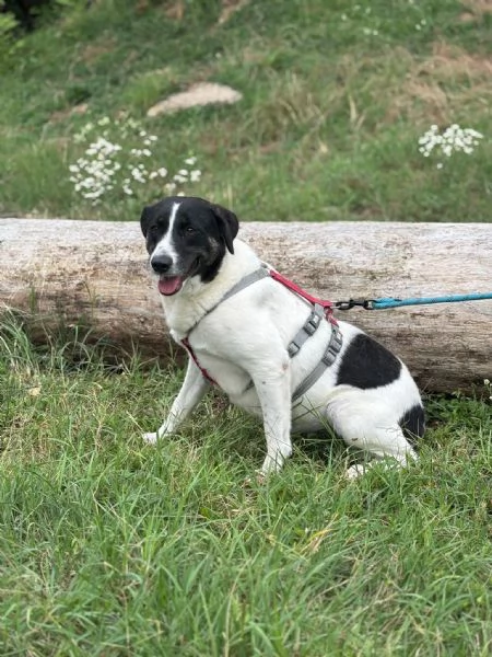 Splendida meticcia - COOKIE | Foto 4