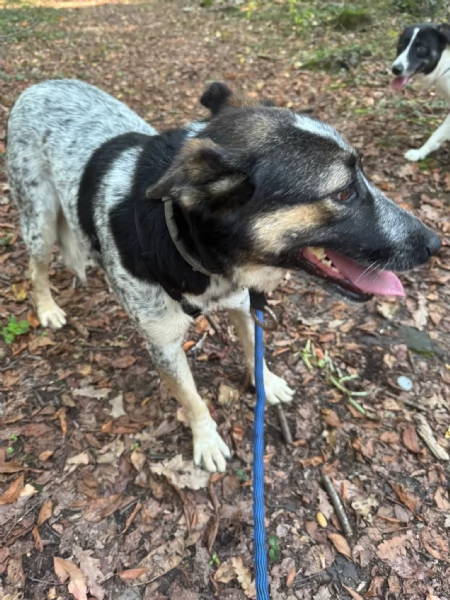 Splendida meticcia - DIVY | Foto 6