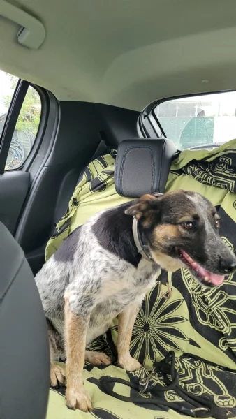 Splendida meticcia - DIVY | Foto 5