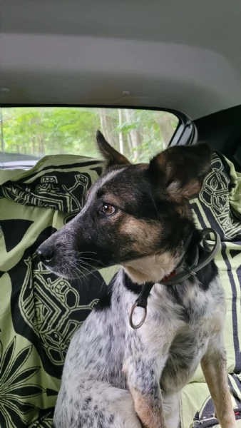 Splendida meticcia - DIVY | Foto 1