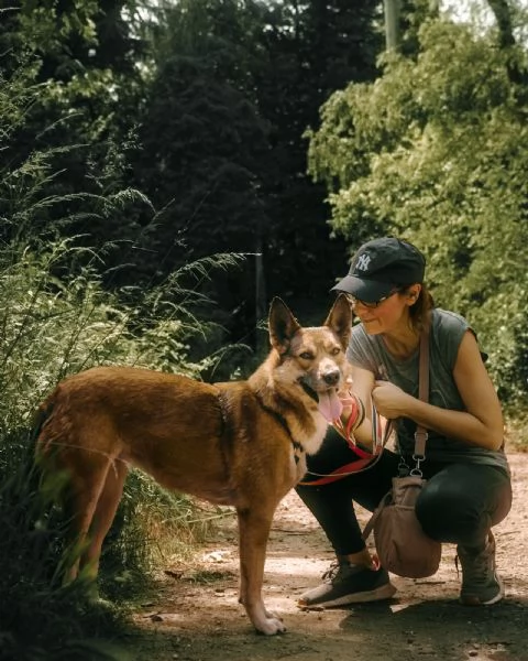 Anais, una splendida lupetta | Foto 0