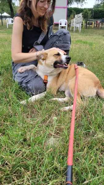 Splendida meticcia - MILLIE | Foto 4