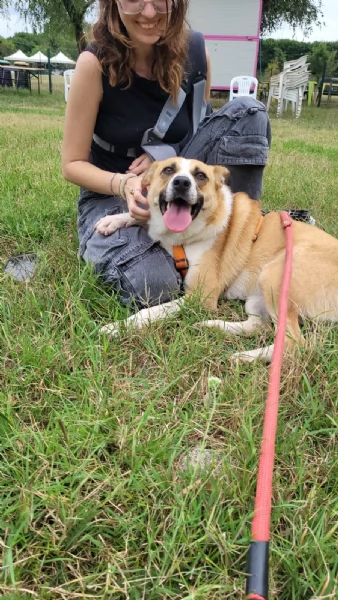 Splendida meticcia - MILLIE | Foto 3