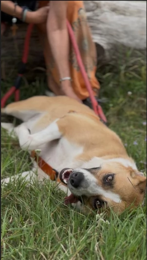 Splendida meticcia - MILLIE | Foto 2