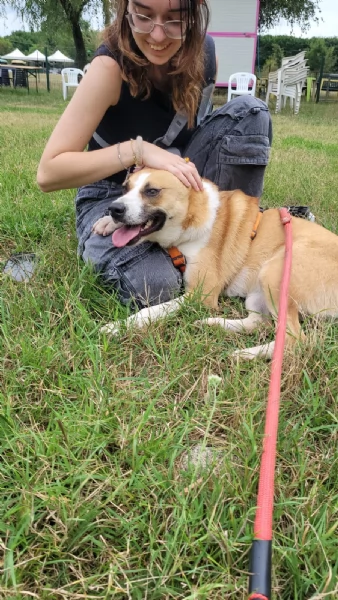 Splendida meticcia - MILLIE | Foto 0