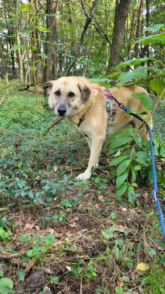 Splendida meticcia - RAJA | Foto 6