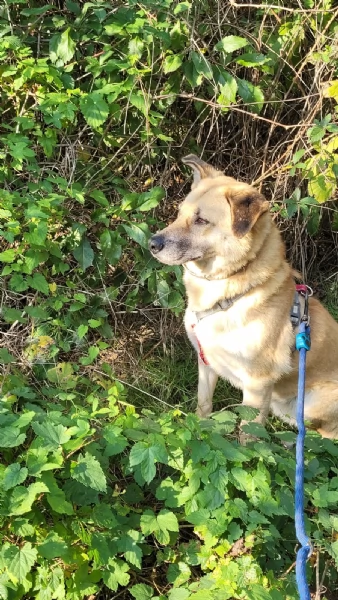 Splendida meticcia - RAJA | Foto 5