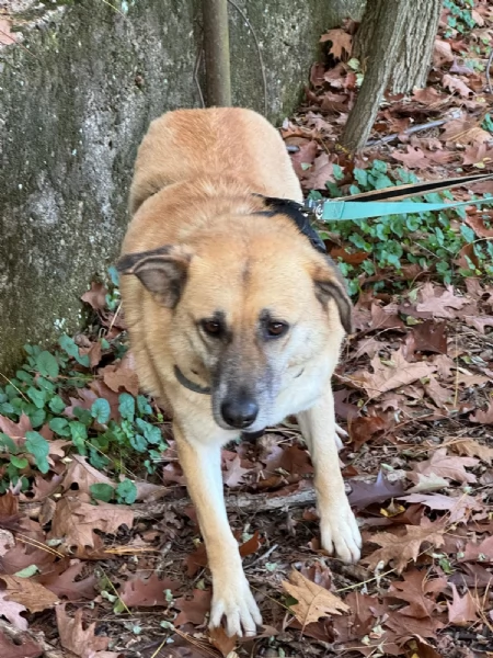 Splendida meticcia - RAJA | Foto 4