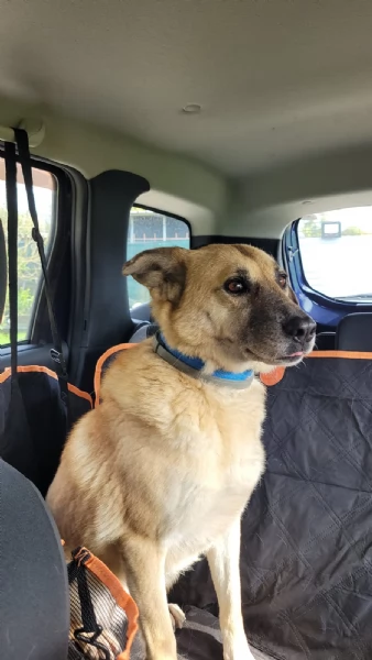 Splendida meticcia - RAJA | Foto 3