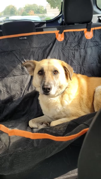 Splendida meticcia - RAJA | Foto 2