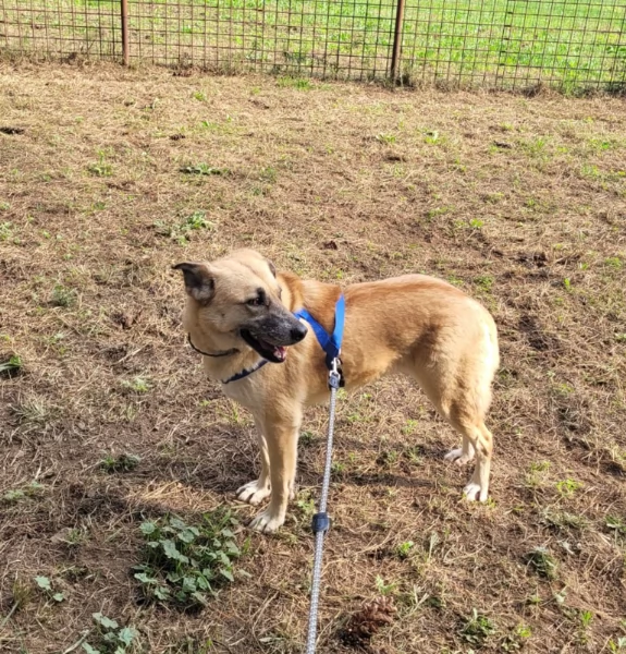 Splendida meticcia - RAJA | Foto 1