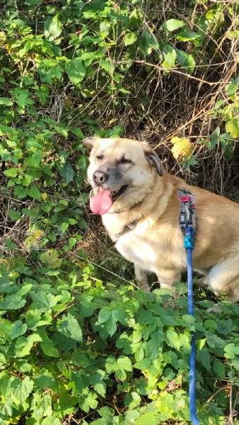 Splendida meticcia - RAJA | Foto 0