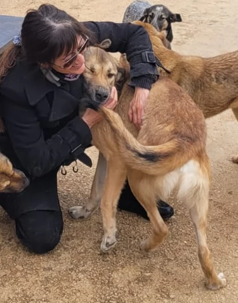 Splendido meticcio WHISKY | Foto 3