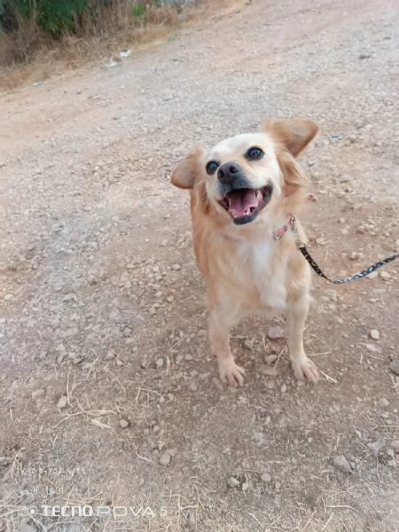 Najma, una dolce meticcia | Foto 4