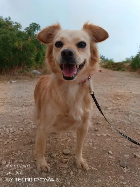 Najma, una dolce meticcia | Foto 1