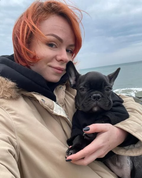 (cuccioli di bulldog francesi disponibili. entrambi di 12 settimane