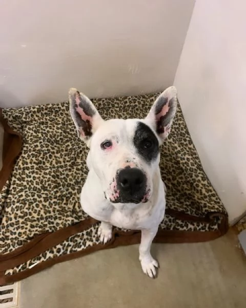 Magda, un invisibile che cerca di farsi notare | Foto 0