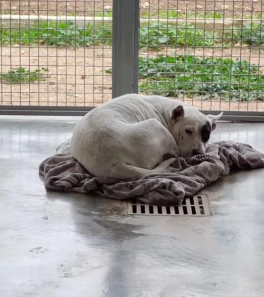 Magda, cerca un futuro migliore | Foto 4