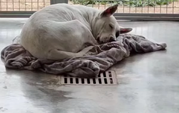 Magda, cerca un futuro migliore | Foto 3