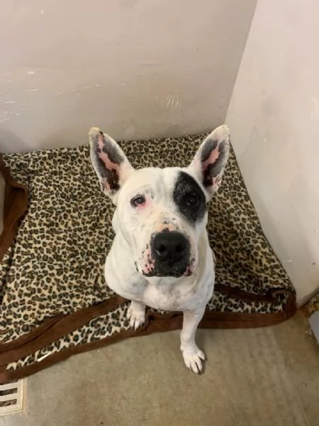 Magda, cerca un futuro migliore | Foto 1