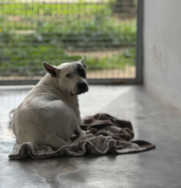 Magda, cerca un futuro migliore