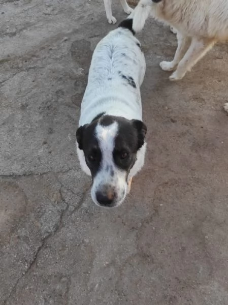 Aiutami ad avere una famiglia 