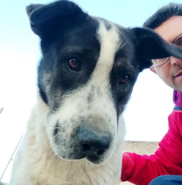 Aiutami ad avere una famiglia  | Foto 6