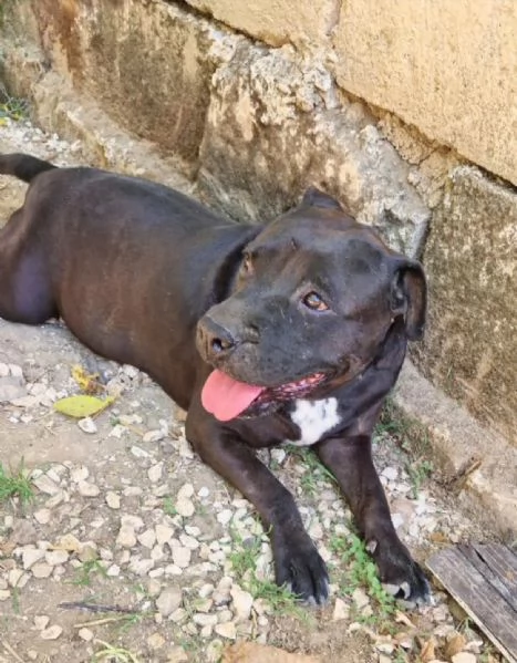 Due anime bisognose in cerca di  famiglia  | Foto 5