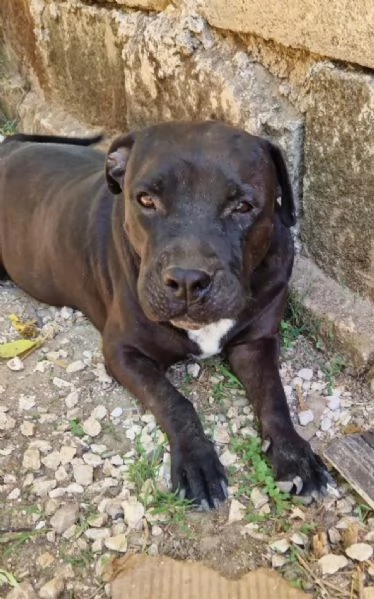 Due anime bisognose in cerca di  famiglia  | Foto 4