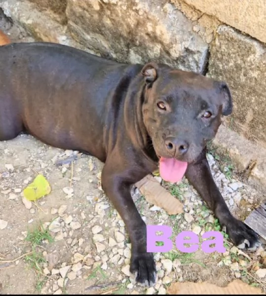 Due anime bisognose in cerca di  famiglia  | Foto 3