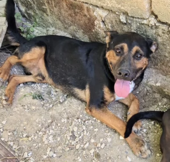 Due anime bisognose in cerca di  famiglia  | Foto 0