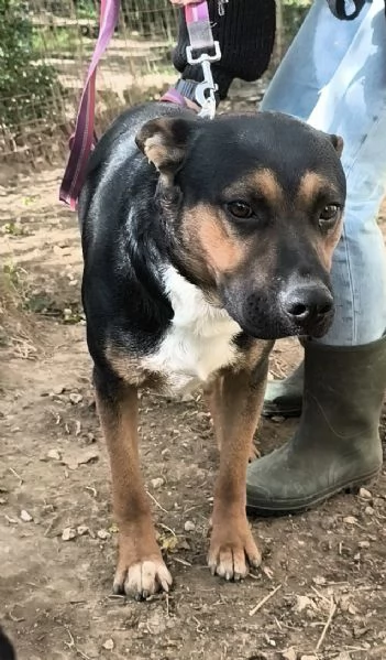 Due anime bisognose in cerca di  famiglia 