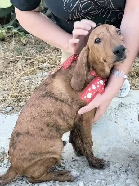 Sceglimi portami a casa con te | Foto 6