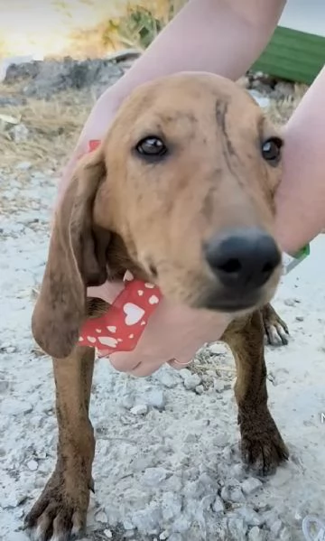 Sceglimi portami a casa con te | Foto 5