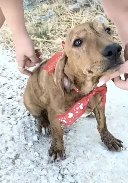 Sceglimi portami a casa con te | Foto 4