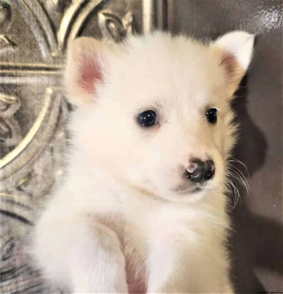 [at][at][at][at][at][at][at][at][at] sage