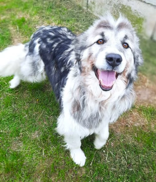 E' finalmente il turno di Bersy?