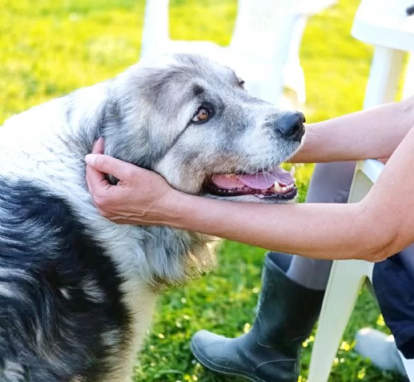 E' finalmente il turno di Bersy? | Foto 6