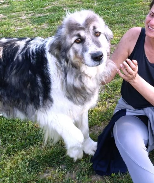 E' finalmente il turno di Bersy? | Foto 5