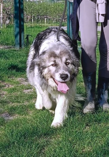 E' finalmente il turno di Bersy? | Foto 4