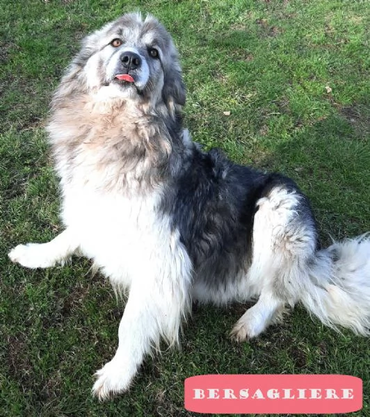 E' finalmente il turno di Bersy? | Foto 3