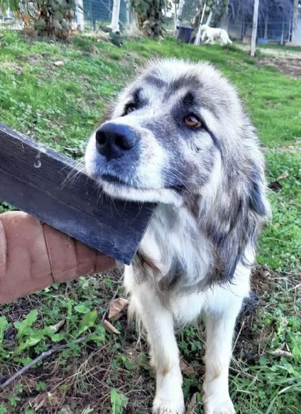 E' finalmente il turno di Bersy? | Foto 2