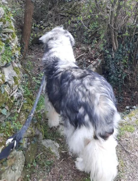 E' finalmente il turno di Bersy? | Foto 1