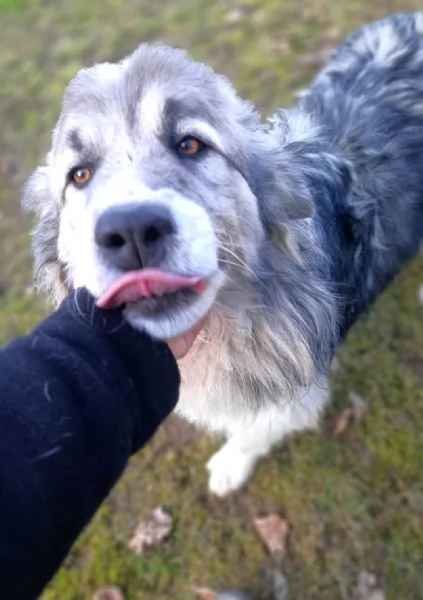 E' finalmente il turno di Bersy? | Foto 0