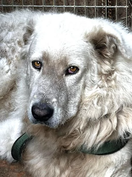 ZACK giovane PMA unico: leggere e guardare per credere | Foto 1