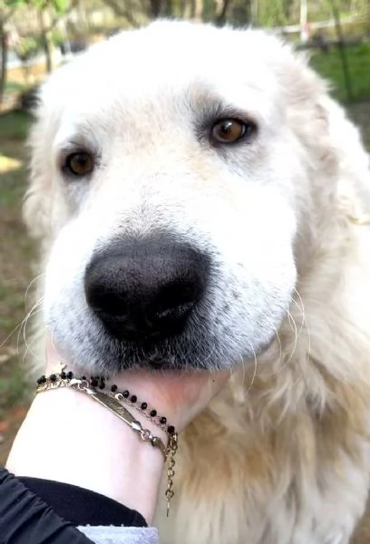 ZACK giovane PMA unico: leggere e guardare per credere | Foto 0