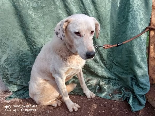 MONIA 20 KG DI BELLEZZA | Foto 2